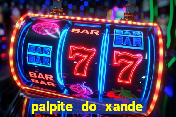 palpite do xande de hoje